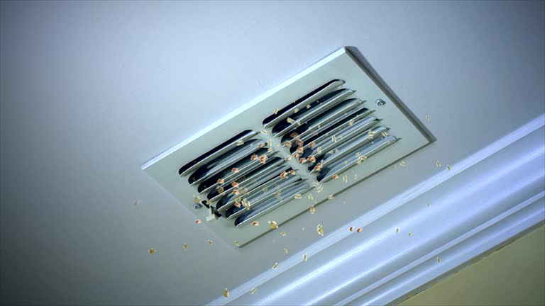 Best Affordable Air Duct Cleaning  in Hlcrest, IL